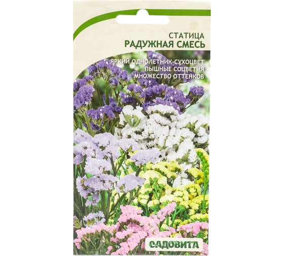 Семена Садовита Статица Радужная смесь 0.1 г 00208022