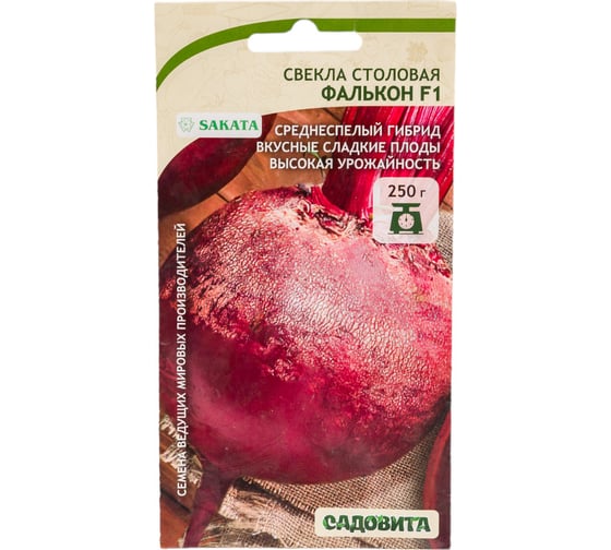 Семена Садовита Свекла Фалькон F1 1 г Sakata 00216448 1