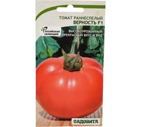 Семена Садовита Томат Верность F1 15 шт. 00198824