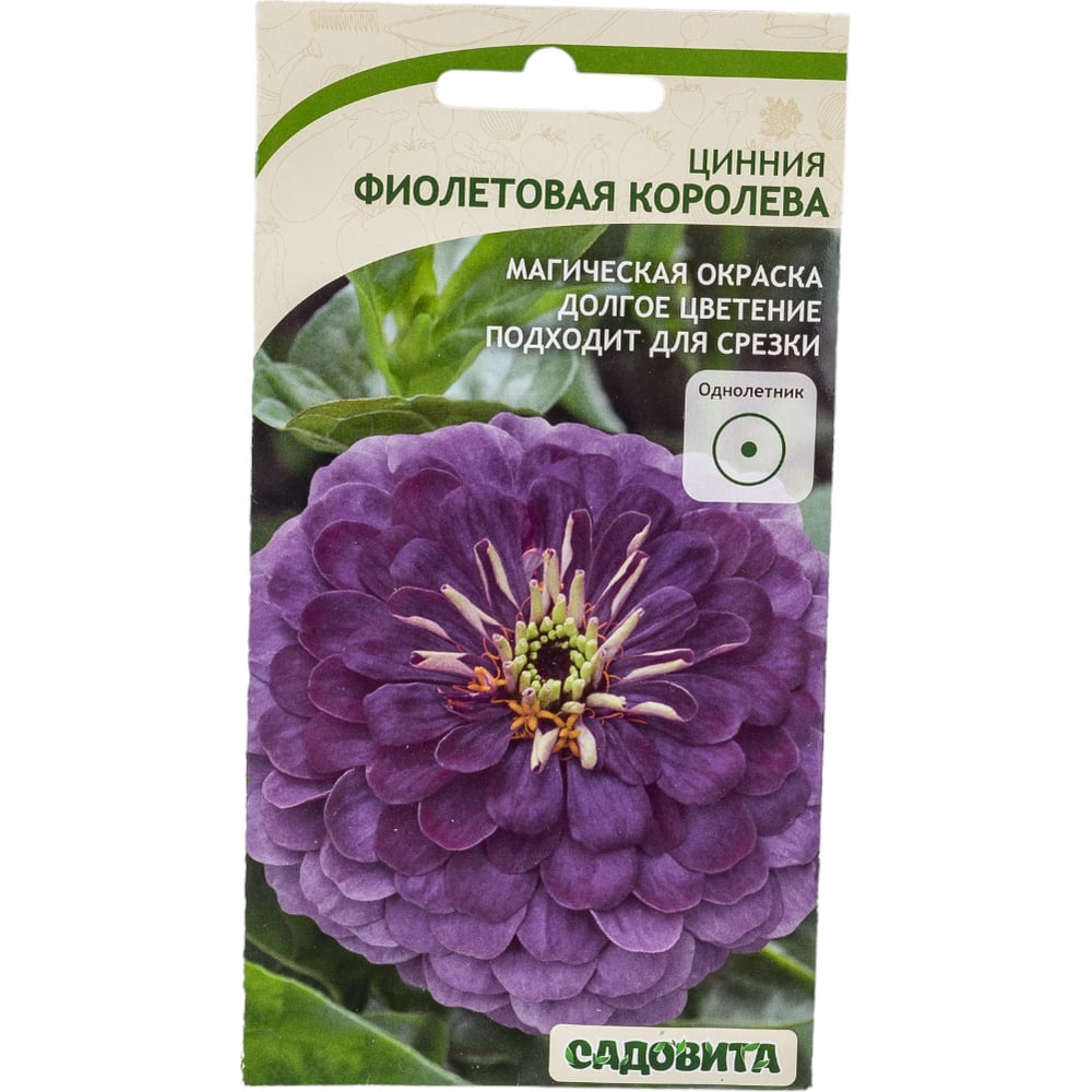 Семена Садовита Циния Фиолетовая королева 0.4 г 00222872 - выгодная ...