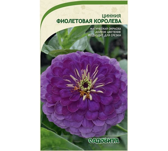Семена Садовита Циния Фиолетовая королева 0.4 г 00222872