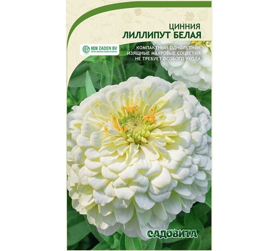 Семена Садовита Циния Лиллипут Белая 0.4 г 00208027 1