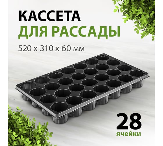 Кассета для рассады Без бренда 52x31см 64312