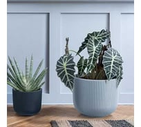 Кашпо с вкладышем Prosperplast DBML240-443U MILLY d 24, h 19.7 см, 4.5 л, светло-серый 069931