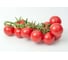 Малибу F1 семена томата 10 шт ЭС мини ELITE PLANT-BREEDING & SEED PRODUCTION Co. 1026995223 2