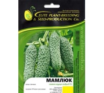 Мамлюк F1 семена огурца 500 шт ЭС мини ELITE PLANT-BREEDING & SEED PRODUCTION Co. 1071860302