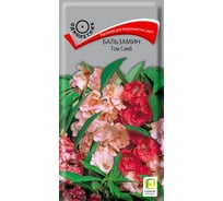 Семена Агрохолдинг ПОИСК ПОИСК Бальзамин Том Самб 0,1 гр 150946