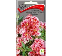 Семена Поиск Годеция крупноцветковая Рембрандт 0.2 г 4601887136712