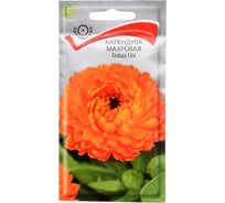 Семена Агрохолдинг ПОИСК ПОИСК Календула махровая Гейша Гел 1гр 270692