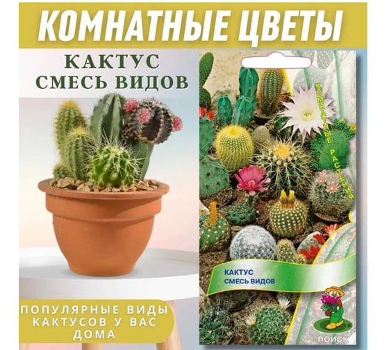 Семена Поиск Кактус Смесь видов 0.1 г 270646