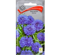 Семена Агрохолдинг ПОИСК ПОИСК Василек Блю бол 1 гр 170771