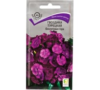 Семена Агрохолдинг ПОИСК ПОИСК Гвоздика Турецкая Фиолетовая гора 0,25 гр 190809