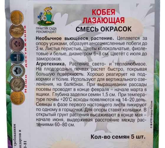 Семена Агрохолдинг ПОИСК ПОИСК Кобея лазающая Смесь окрасок 5 шт 669584