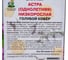 Семена Агрохолдинг ПОИСК ПОИСК Астра низкорослая Голубой ковер 0,2 гр 150108 3