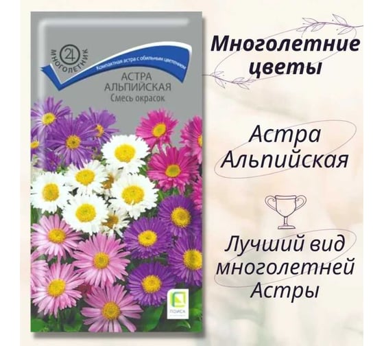 Семена Агрохолдинг ПОИСК ПОИСК Астра альпийская Смесь окрасок 0,3 гр 140674