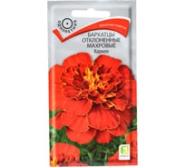 Семена Агрохолдинг ПОИСК ПОИСК Бархатцы отклоненные махровые Кармен 0,4 гр 160381