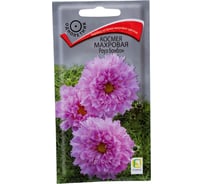 Семена Агрохолдинг ПОИСК ПОИСК Космея махровая Роуз бонбон 0,1 гр 300624