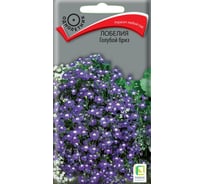 Семена Агрохолдинг ПОИСК ПОИСК Лобелия Голубой бриз 0,1 гр 350125