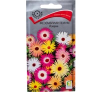 Семена Агрохолдинг ПОИСК ПОИСК Мезембриантемум Искорки 0,3 гр 360467