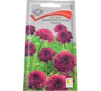 Семена Агрохолдинг ПОИСК ПОИСК Космея махровая кнопка Бордовая 0,1 гр 668375