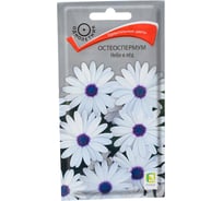 Семена Агрохолдинг ПОИСК ПОИСК Остеоспермум Небо и лед 0,1 гр 400804
