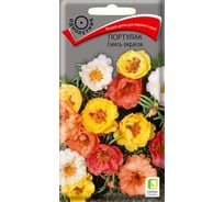 Семена Агрохолдинг ПОИСК ПОИСК Портулак Смесь окрасок 0,1 гр 430901