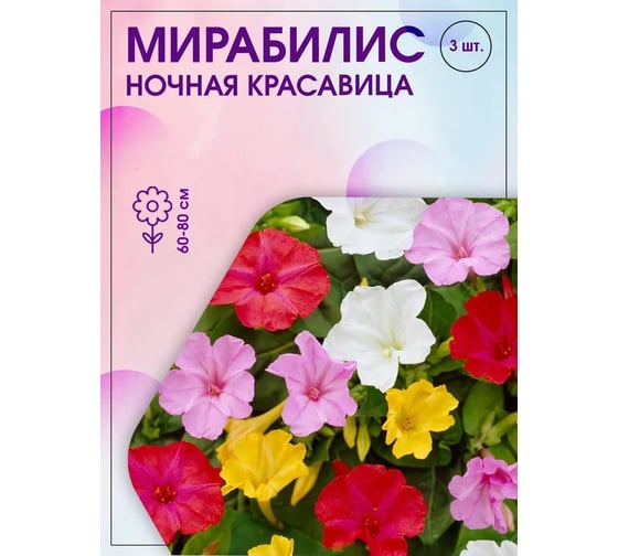 Семена Агрохолдинг ПОИСК ПОИСК Мирабилис Ночная красавица 2,5 гр 360678