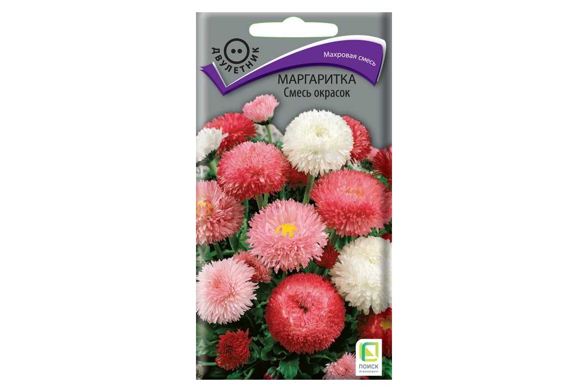 Маргаритки Семена Купить
