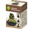 Комнатный фонтан GARDEN SHOW Лягушки с кувшинами 13,5x13,5x16,5 см 1/12 ПТ000002271 5