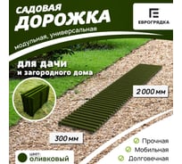 Садовая дорожка Еврогрядка 300x2000, олива EGDOR30x200ol