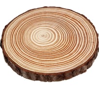 Сосновый спил для декора INBLOOM 15-16x1.5 см 153-169