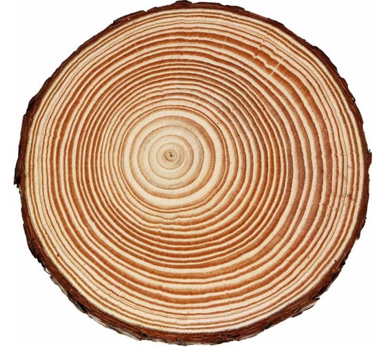 Сосновый спил для декора INBLOOM 15-16x1.5 см 153-169