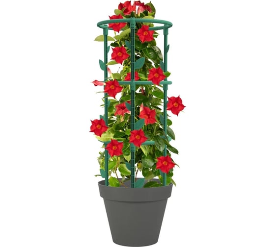 Мини шпалера для растений EDA, 25x66,3 см, сборная (кольца-3 шт., стойки-9шт., колышки-3 шт.) полипропилен PP 013947 V.CA