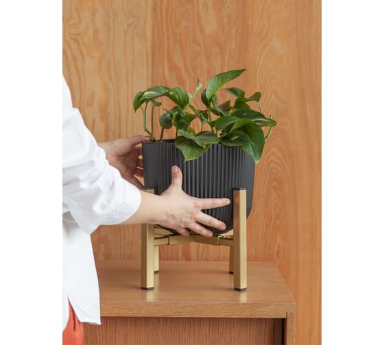 Подставка для комнатных растений GreenWeen OXALIS SMART 20 регулируемая, под кашпо, цвет золотой GW-OXALIS20-SMART-G