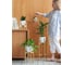 Подставка для комнатных растений GreenWeen OXALIS 60 230x230x610 мм, цвет золотой GW-OXALIS60-G 7
