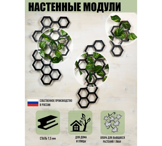 Настенный модуль для лиан и вьючных растений ООО СКП (три модуля) СД-07С