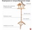 Напольная кормушка для птиц ДИПРИЗ Разборная, из массива сосны, окрашена красителем на водной основе. БСМ0004.03 3