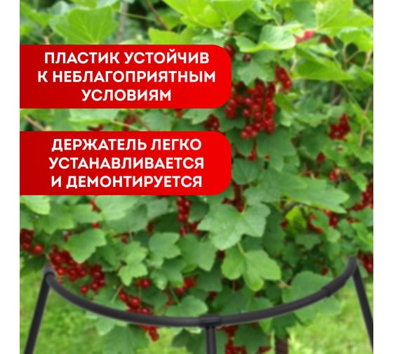 Кустодержатель Зри в корень Смородина черный 4650243065890