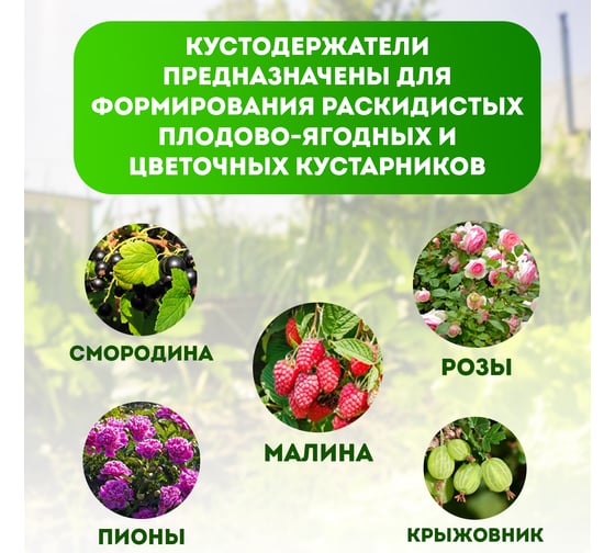 Кустодержатель Зри в корень Смородина черный 4650243065890