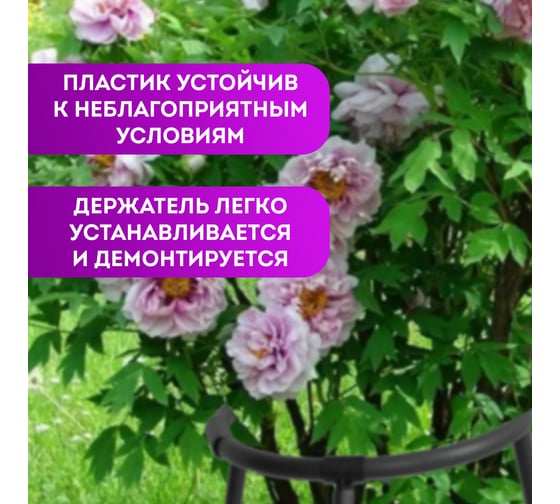 Кустодержатель Зри в корень Пион черный 4650243065869