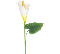 Штекер садовый PARK Калла Эфиопская 108839