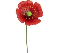 Садовый штекер PARK Мак самосейка 108845