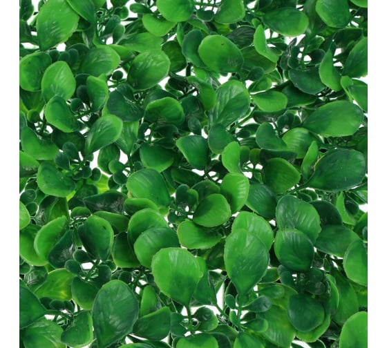 Декоративная панель Greengo мокрица 40х60 см, 4 шт. 2635881