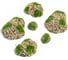 Искусственный мох с каменной крошкой Greengo Камни 6 шт., ассорти: 2 больших, 2 средних, 2 маленьких 4488260 3