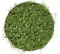 Декоративная панель Greengo d=35 см, мох с ряской 5200610