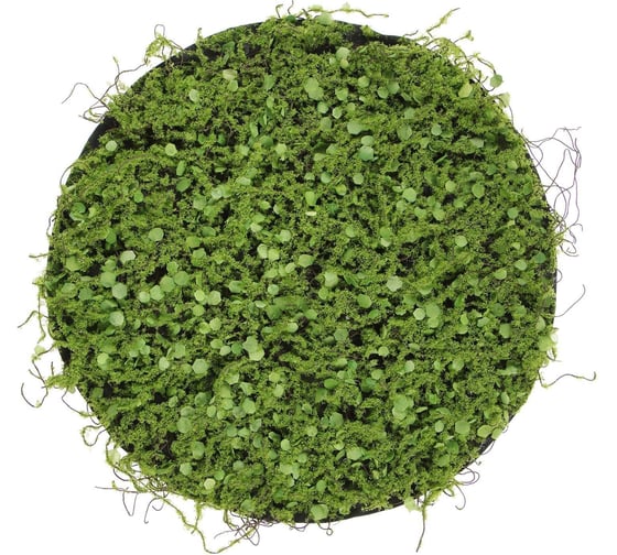 Декоративная панель Greengo d=35 см, мох с ряской 5200610