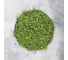 Декоративная панель Greengo d=35 см, мох с ряской 5200610 4
