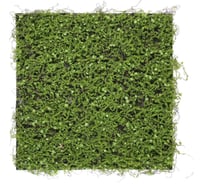 Декоративная панель Greengo 50х50 см, мох с ряской 5200608