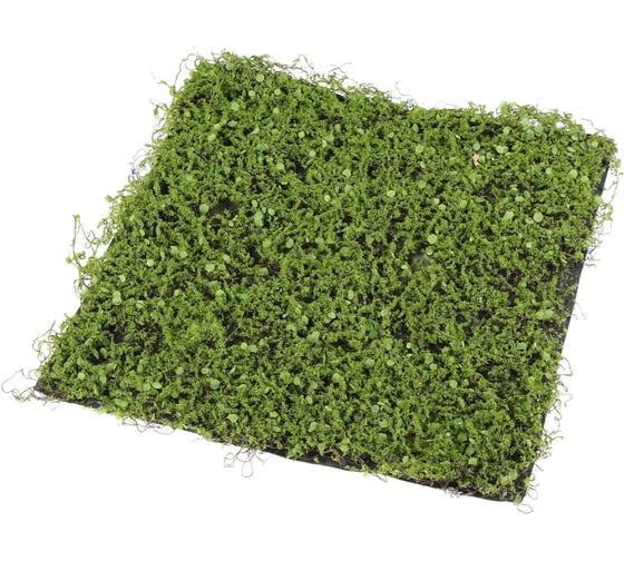 Декоративная панель Greengo 50х50 см, мох с ряской 5200608