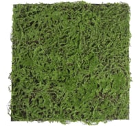 Декоративная панель Greengo 50х50 см, мох 5200613